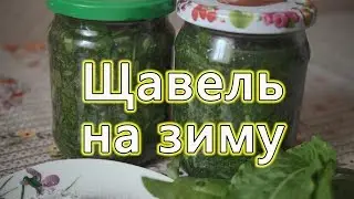 Щавель на зиму,Консервація Квасок,як заготовити Щавель, Щавель рецепты,Щавель в банки,рецепти,sorrel