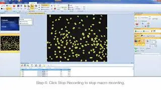 Beginners guide to macro writing: Celleste Image Analysis Software