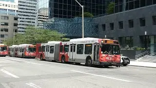 OC Transpo Afternoon Rush Hour R1 Express (East to Blair) Bus Staging in 2023 (Aug 2, 2023)