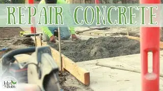 Sidewalk Repair | How To Repair Concrete (Tree Root Damage!)