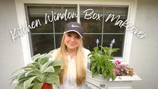 Kitchen Window Box Makeover from the Inside-Out!!! :: Narrow Side Yard Garden Inspiration!