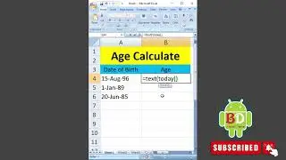 microsoft excel বয়স বের করার নিয়ম ২০২৪