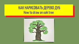 Как нарисовать дерево дуб - How to draw an oak tree