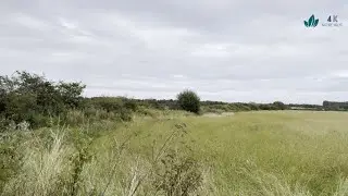 Strolling along a trail through open fields