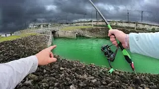 Chasing INVASIVE Exotic Fish In Spillways & Canals