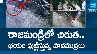 రాజమండ్రిలో చిరుత | Leopard Wandering In Rajahmundry | @SakshiTV