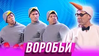 Воробьи — Уральские Пельмени | Гиря от ума