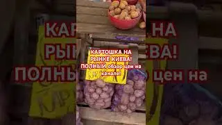 🥔🇺🇦 СКОЛЬКО КАРТОШКА И ЛУК В УКРАИНЕ? #украина #київ #киев #україна #еда #обзор #киев2024