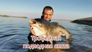 Трофейная подводная охота!