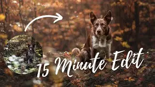 15 Minute Pet Photo Edit: Speed Edit Version