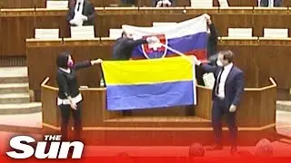 Slovakian politicians throw water and SLAP impromptu protester