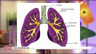 POURQUOI RESPIRER À FOND EST SI IMPORTANT ?