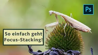 Focus Stacking in 3 einfachen Schritten in Photoshop - Tutorial für Einsteiger