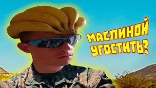 ЛЮТЫЕ ПРИКОЛЫ В ИГРАХ | WDF 266