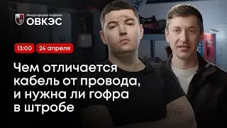 🔴  Чем отличается кабель от провода, и нужна ли гофра в штробе 🔴 Онлайн-вебинар Академии ОВКЭС