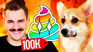 ДИЗАЙН ДЛЯ СОБАКИ ЗА 100 000 РУБЛЕЙ