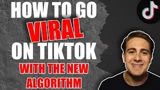 How To Go VIRAL on TikTok With The NEW Algorithm (4 REAL EXAMPLES OF HOW TO GO VIRAL)