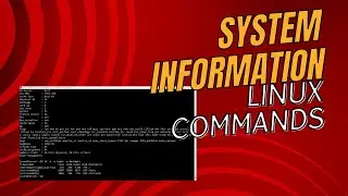 Get System Information with Linux Commands