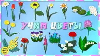 Учим слова. Цветы для малышей! Развивающие мультики для детей