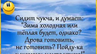 "Зима холодная или тёплая будет..?" Анекдот! Юмор! Позитив!))