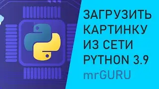 Скачать картинку(файл) из сети Python 3.9 / mrGURU