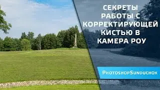 Секреты работы с корректирующей кистью в камера роу