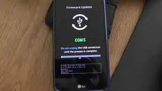 My Lg firmware Update error