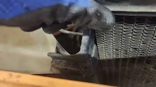 Remove the Radiator from a 1972-1976 Ford Courier