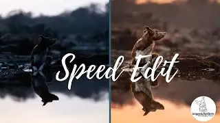 Sunset Reflections: Speed Edit