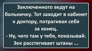 Заключенный у Тюремного Врача! Сборник Изумрудных Анекдотов №114