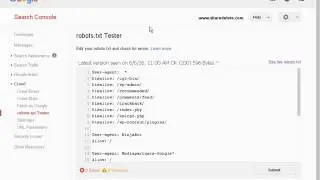 Test Robots.txt file