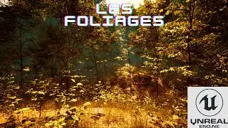 Tout savoir pour avoir des foliages parfait !