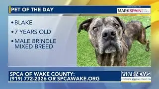 Pet of the Day for Sept. 6, 2024