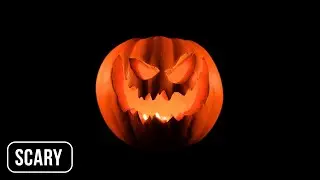 Halloween Pumpkin | Black Screen