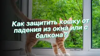 Как защитить кошку от падения из окна или с балкона?