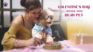 Dear Pet Valentines | Treat Your Loyals like Royals