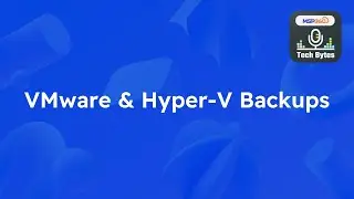 MSP360 TechBytes - VMware & HyperV Backups