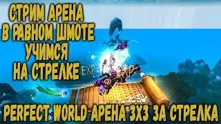 АРЕНА 3Х3 В РАВНОМ ШМОТЕ | УЧИМСЯ НА СТРЕЛКЕ | PERFECT WORLD СТРИМ - 1440P