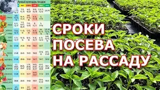 Когда сеять перец на рассаду ?