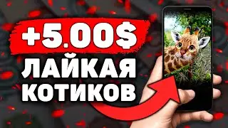 ЛАЙКАЛЬНЫЙ Заработок на Телефоне Без Вложений! Как Заработать Деньги с Телефона в Интернете?