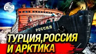 Прорубить путь в Арктику: Турция рвется на Северный полюс через партнерство с Россией