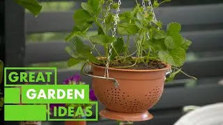 Colourful Colander Planters | GARDEN | Great Home Ideas