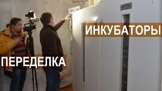 Дмитрий Панов. Опыт Эксплуатации инкубаторов Рэмил