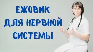 Ежовик для нервной системы Доктор Лисенкова