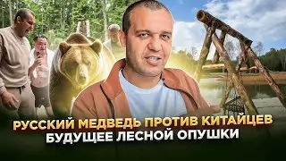 УМАР КРЕМЛЕВ. ВЛОГ | РУССКИЙ МЕДВЕДЬ И КИТАЙСКИЕ ГОСТИ