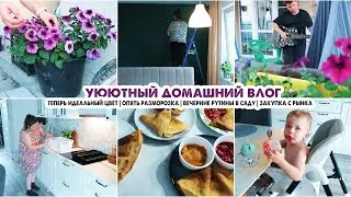 Домашний быт🏡Закупка с рынка/Рутины в саду/Перекрасила стену/Разморозка/Много обновок себе и сестре