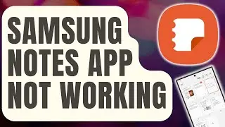 How To Fix Samsung Notes App Not Working [Updated 2024]