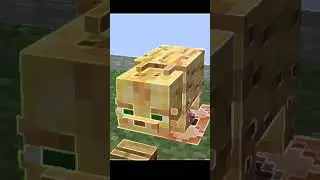 Fat cats Minecraft meme / Жирные коты в Майнкрафте, мем.