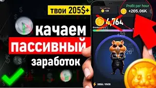 🔥 Ждем airdrop Hamster Kombat Bot - Как вывести деньги из хамстер комбат обзор