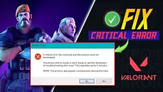 How to Fix Valorant Critical Error Has Occurred on Windows PC